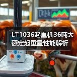 LT1036起重机36吨大额定起重量性能解析(图1) LT1036起重机36吨大额定起重量性能解析(图1)