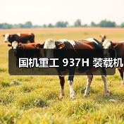 国机重工 937H 装载机(图1) 国机重工 937H 装载机(图1)
