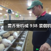 雷乔曼机械 938 装载机(图3) 雷乔曼机械 938 装载机(图3)