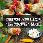 国机常林8208T压路机性能优势解析：强力压实高效作业（图2）