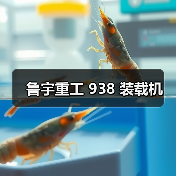 鲁宇重工 938 装载机(图3) 鲁宇重工 938 装载机(图3)
