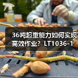 36吨起重能力如何实现高效作业?LT1036-1起重机深度解析(图3) 36吨起重能力如何实现高效作业?LT1036-1起重机深度解析(图3)