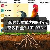 36吨起重能力如何实现高效作业?LT1036-1起重机深度解析(图4) 36吨起重能力如何实现高效作业?LT1036-1起重机深度解析(图4)