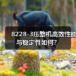 8228-3压路机高效性能与稳定性如何?(图2) 8228-3压路机高效性能与稳定性如何?(图2)