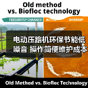 电动压路机环保节能低噪音 操作简便维护成本低(图3) 电动压路机环保节能低噪音 操作简便维护成本低(图3)