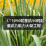 LT1050起重机50吨起重能力助力大型工程(图4) LT1050起重机50吨起重能力助力大型工程(图4)
