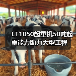 LT1050起重机50吨起重能力助力大型工程(图1) LT1050起重机50吨起重能力助力大型工程(图1)