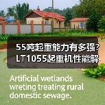 55吨起重能力有多强?LT1055起重机性能解析(图3) 55吨起重能力有多强?LT1055起重机性能解析(图3)