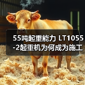 55吨起重能力 LT1055-2起重机为何成为施工首选?(图1) 55吨起重能力 LT1055-2起重机为何成为施工首选?(图1)