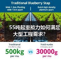 55吨起重能力如何满足大型工程需求?(图4) 55吨起重能力如何满足大型工程需求?(图4)