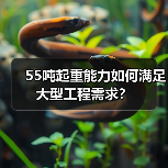 55吨起重能力如何满足大型工程需求?(图3) 55吨起重能力如何满足大型工程需求?(图3)