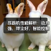压路机性能解析:动力强、降尘好、智能控制提升效率(图1) 压路机性能解析:动力强、降尘好、智能控制提升效率(图1)
