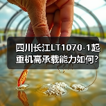 四川长江LT1070-1起重机高承载能力如何？智能监控系统提升作业效率（图3）