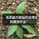 高承载力装载机如何实现高效作业？（图4）