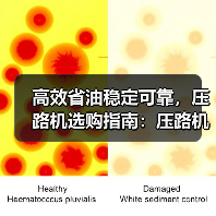 高效省油稳定可靠,压路机选购指南:压路机优势解析(图2) 高效省油稳定可靠,压路机选购指南:压路机优势解析(图2)