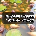 选压路机看哪款更靠谱?高效压实+稳定动力解析(图2) 选压路机看哪款更靠谱?高效压实+稳定动力解析(图2)