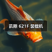 凯斯 621F 装载机（图1）