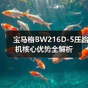 宝马格BW216D-5压路机核心优势全解析(图3) 宝马格BW216D-5压路机核心优势全解析(图3)