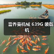 雷乔曼机械 639G 装载机（图2）