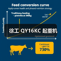徐工 QY16KC 起重机（图2）