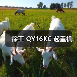 徐工 QY16KC 起重机（图1）