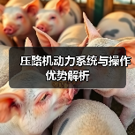 压路机动力系统与操作优势解析(图4) 压路机动力系统与操作优势解析(图4)