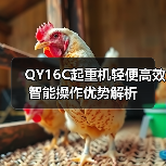 QY16C起重机轻便高效智能操作优势解析(图3) QY16C起重机轻便高效智能操作优势解析(图3)