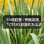 55吨起重+节能高效,FTC55X5起重机怎么选?(图4) 55吨起重+节能高效,FTC55X5起重机怎么选?(图4)