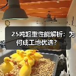 25吨起重性能解析:为何成工地优选?(图1) 25吨起重性能解析:为何成工地优选?(图1)