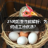25吨起重性能解析:为何成工地优选?(图4) 25吨起重性能解析:为何成工地优选?(图4)