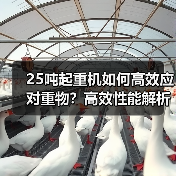 25吨起重机如何高效应对重物?高效性能解析(图1) 25吨起重机如何高效应对重物?高效性能解析(图1)