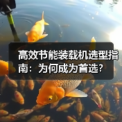 高效节能装载机选型指南:为何成为首选?(图2) 高效节能装载机选型指南:为何成为首选?(图2)
