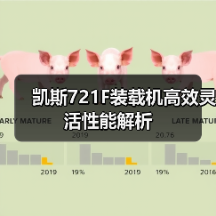 凯斯721F装载机高效灵活性能解析(图1) 凯斯721F装载机高效灵活性能解析(图1)