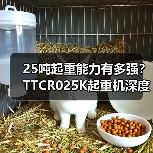 25吨起重能力有多强？TTCR025K起重机深度解析（图2）