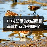 80吨起重能力起重机,高效作业效率如何?(图3) 80吨起重能力起重机,高效作业效率如何?(图3)