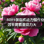 8085装载机动力强作业效率高载重能力大(图2) 8085装载机动力强作业效率高载重能力大(图2)