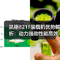 凯斯821F装载机优势解析：动力强劲性能高效（图2）