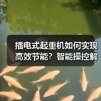 插电式起重机如何实现高效节能?智能操控解析(图4) 插电式起重机如何实现高效节能?智能操控解析(图4)