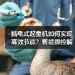 插电式起重机如何实现高效节能?智能操控解析(图3) 插电式起重机如何实现高效节能?智能操控解析(图3)