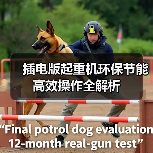 插电版起重机环保节能高效操作全解析(图2) 插电版起重机环保节能高效操作全解析(图2)