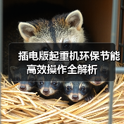 插电版起重机环保节能高效操作全解析(图4) 插电版起重机环保节能高效操作全解析(图4)