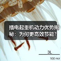 插电起重机动力优势揭秘:为何更高效节能?(图4) 插电起重机动力优势揭秘:为何更高效节能?(图4)