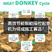 高效节能智能操控起重机为何成施工首选?(图4) 高效节能智能操控起重机为何成施工首选?(图4)