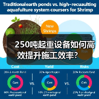 250吨起重设备如何高效提升施工效率?(图4) 250吨起重设备如何高效提升施工效率?(图4)