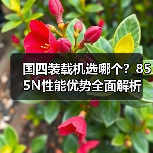 国四装载机选哪个?855N性能优势全面解析(图1) 国四装载机选哪个?855N性能优势全面解析(图1)