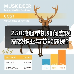 250吨起重机如何实现高效作业与节能环保？（图2）