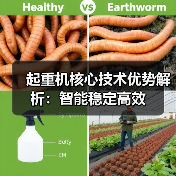 起重机核心技术优势解析：智能稳定高效（图3）