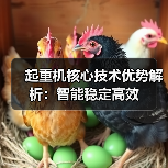起重机核心技术优势解析：智能稳定高效（图4）