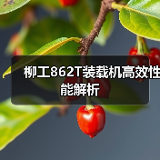 柳工862T装载机高效性能解析(图1) 柳工862T装载机高效性能解析(图1)