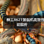 柳工862T装载机高效性能解析(图4) 柳工862T装载机高效性能解析(图4)
